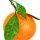 نارنگی